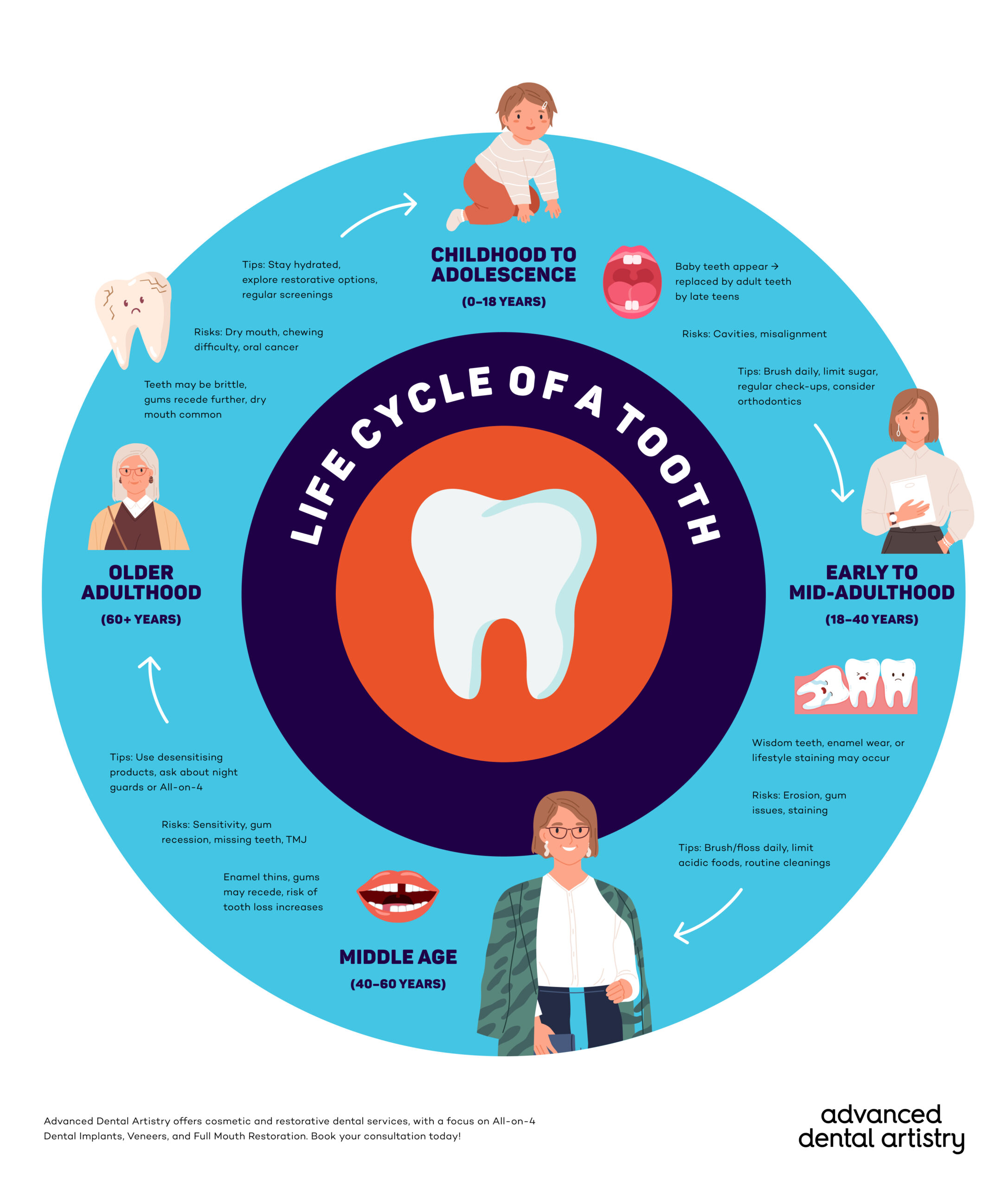 Life Cycle of a Tooth